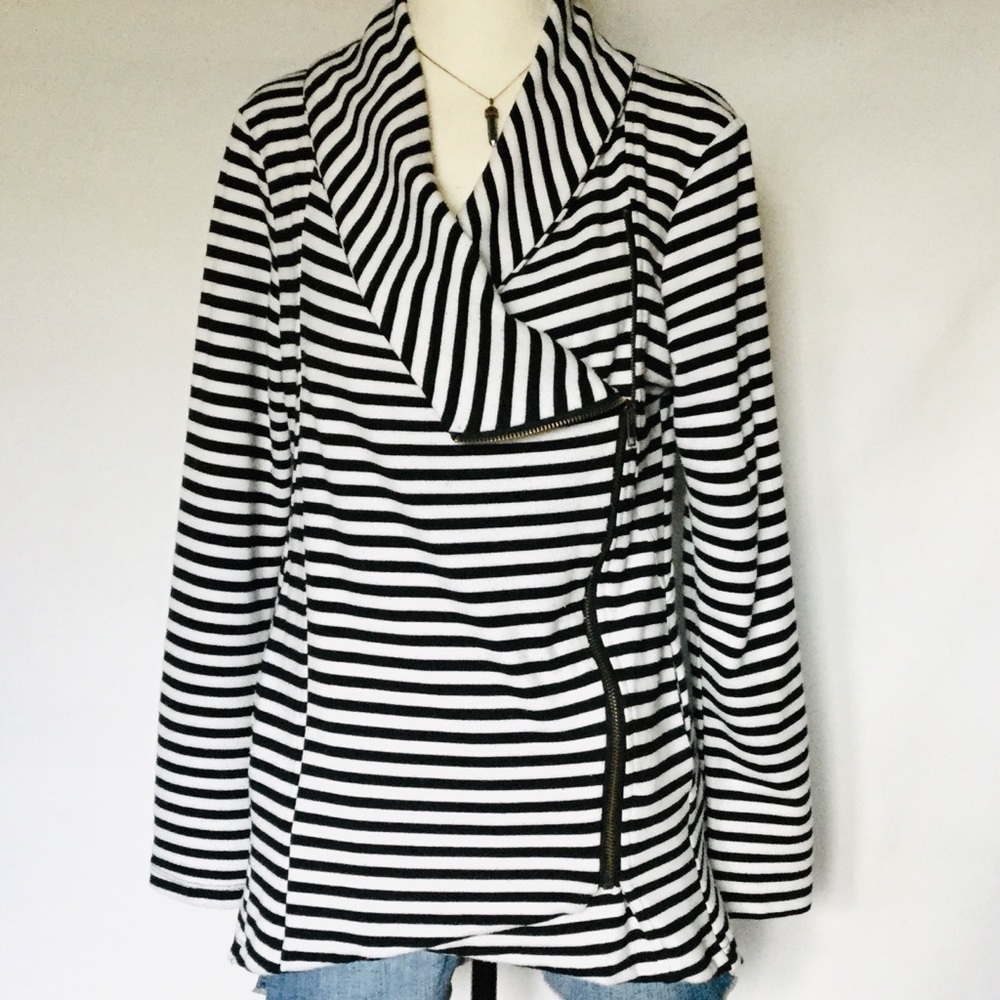 My Beloved Jacket